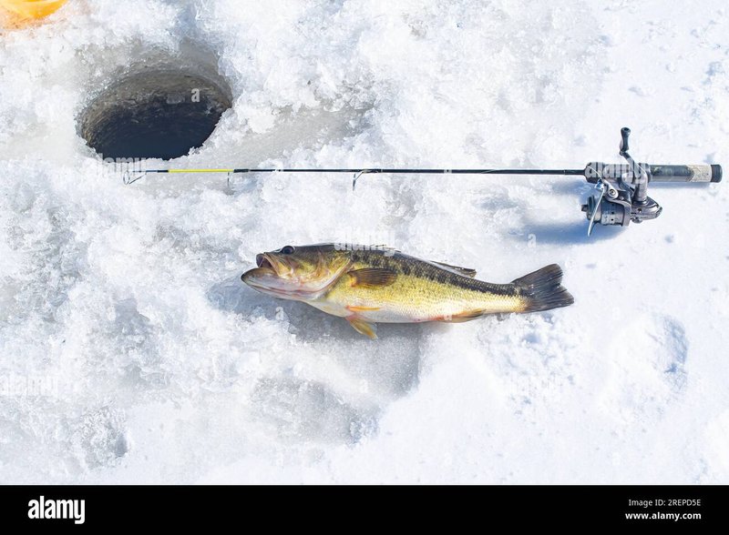 Best ice fishing demo in United Kigdom